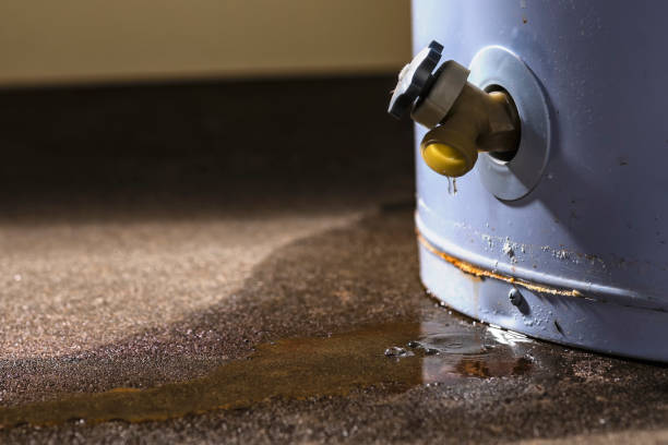 Best Local water damage restoration  in Evansburg, PA