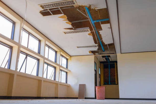 Best Sewage cleanup and water damage restoration  in Evansburg, PA
