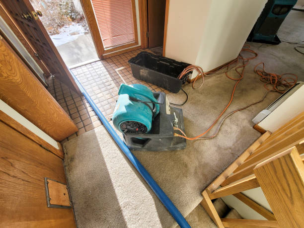 Best Mold removal after water damage  in Evansburg, PA