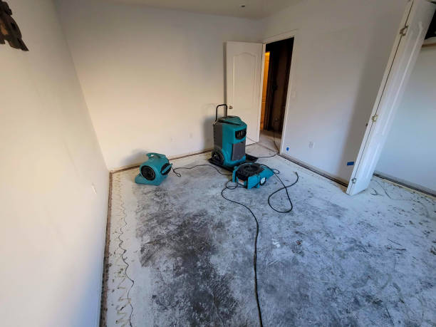 Best Basement water damage restoration  in Evansburg, PA