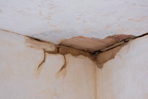 Best 24/7 water damage repair  in Evansburg, PA