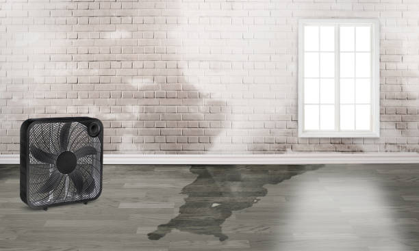 Best Emergency water damage restoration  in Evansburg, PA