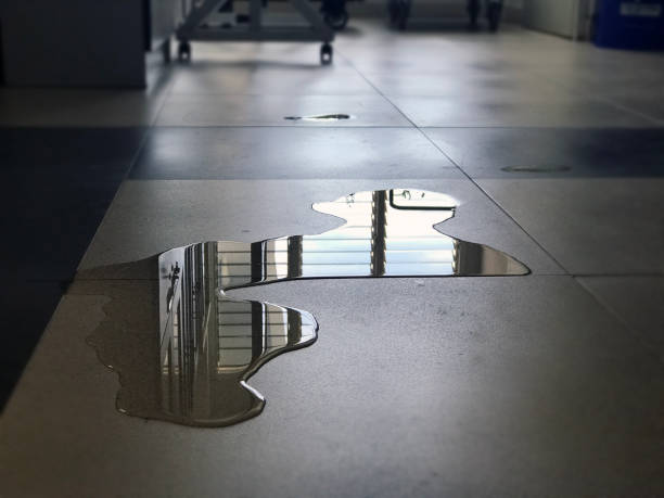 Best Water damage cleanup near me  in Evansburg, PA