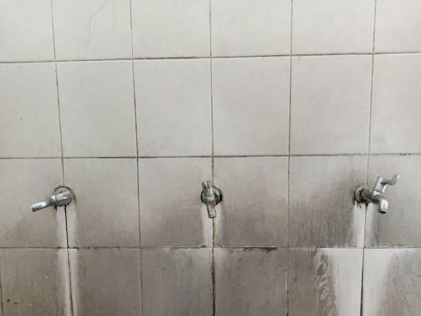 Best Flood damage cleanup  in Evansburg, PA