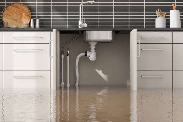 Best Water damage restoration near me  in Evansburg, PA
