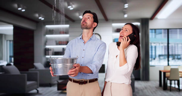 Best Water damage contractors near me  in Evansburg, PA